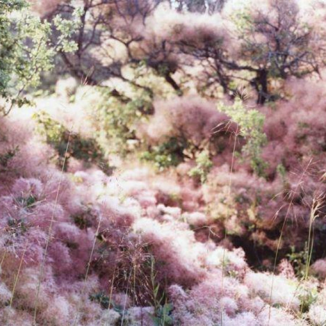 Iz ciklusa Dust to dust