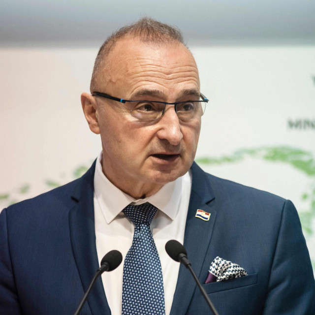 Gordan Grlić Radman