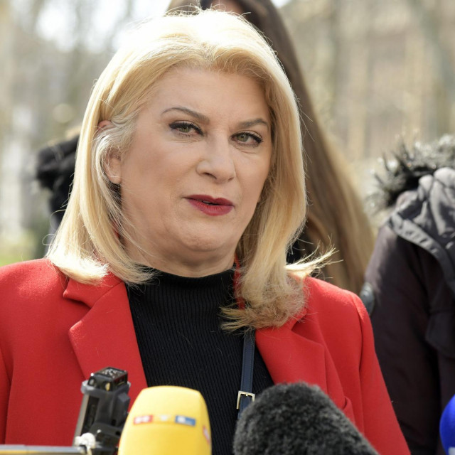 Vesna Škare Ožbolt