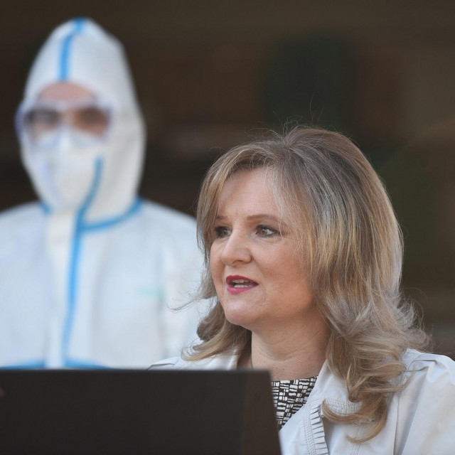 Vesna Hajsan Dolinar