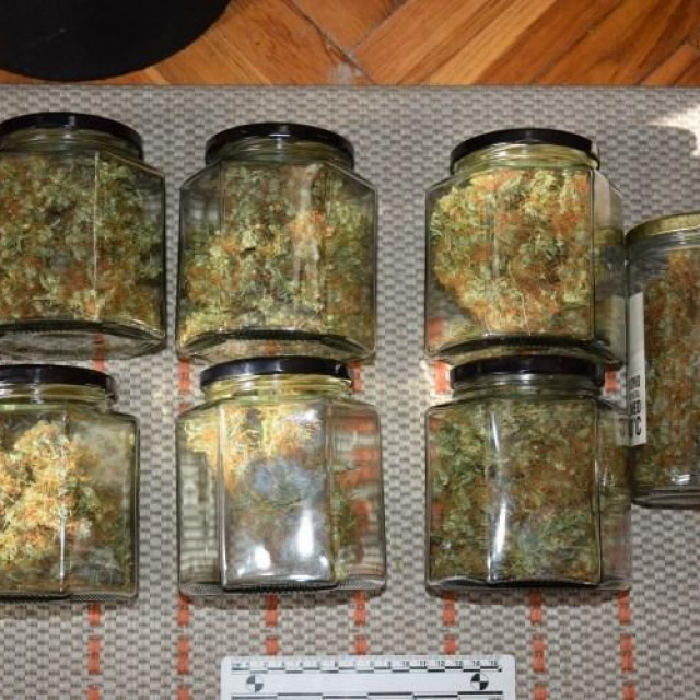 Uhićen diler koji je uzgajao marihuanu