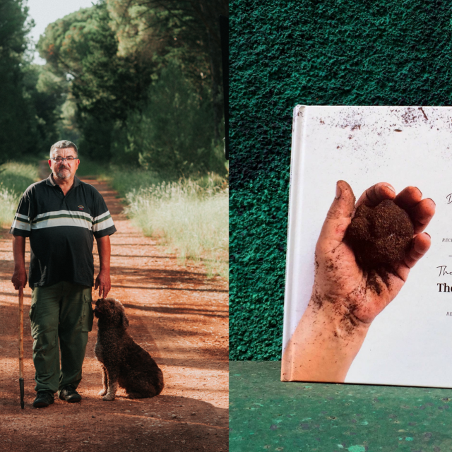 Ivan Matak sa svoijm psom tragačem i kuharica posvećena tartufima