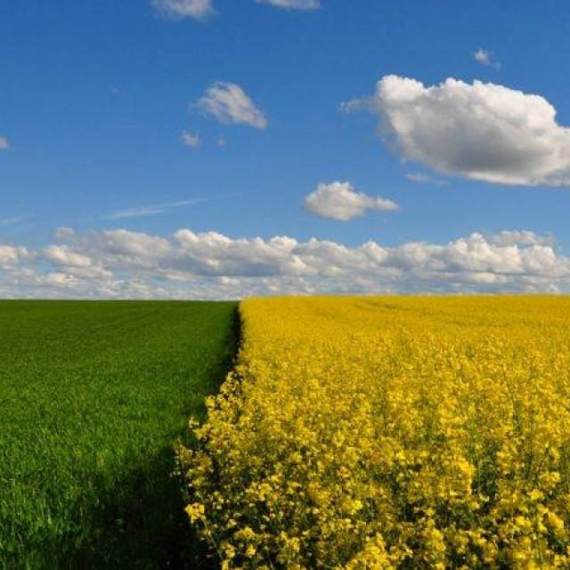 [nimmersatt/Shutterstock]