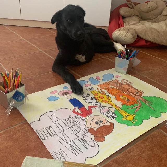 Pas Pele, njihov najpoznatiji štićenik