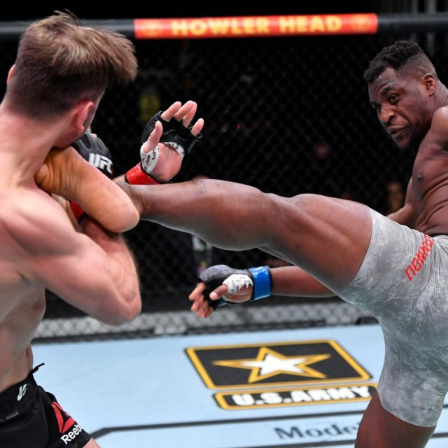 Stipe Miočić i Francis Ngannou