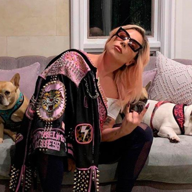 Lady Gaga sa svojim psima (L); Ryan Fischer u bolnici (D)