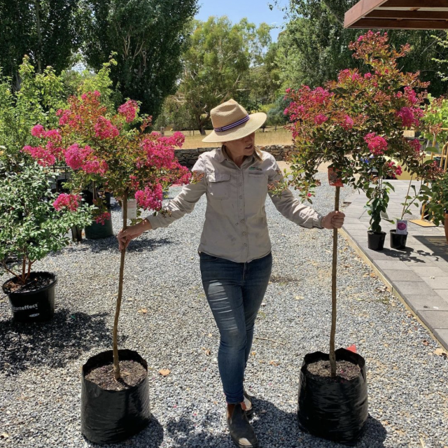 Instagram @adelaidetreefarm