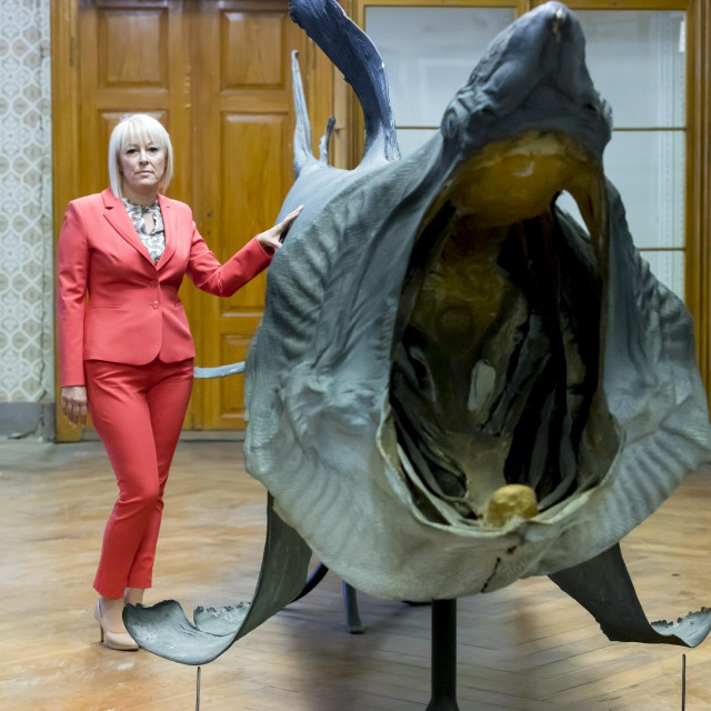 Zgrada Prirodoslovnogmuzeja nakon potresa.
Na fotografiji: Tatjana Vlahovic - ravnateljica.