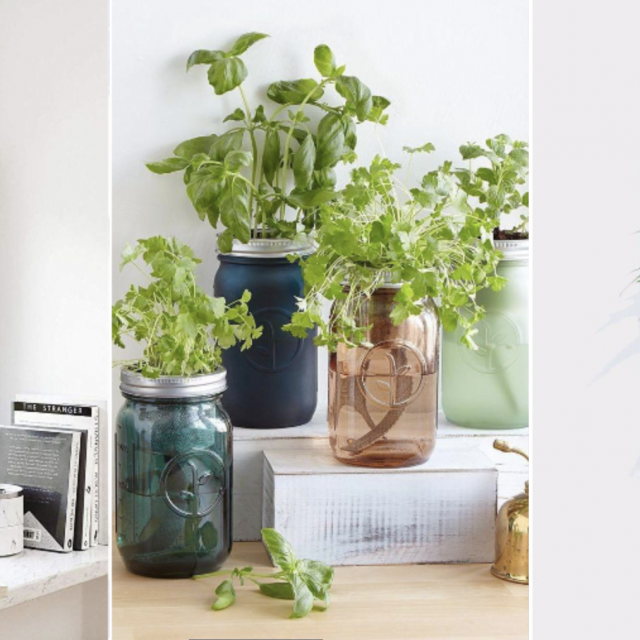 Sustavi za uzgoj začinskog bilja