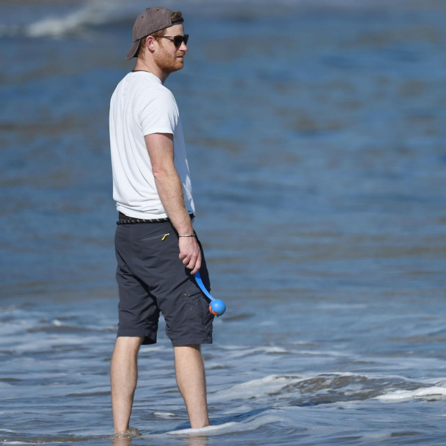 Princ Harry sa svojom labradoricom Pulom.