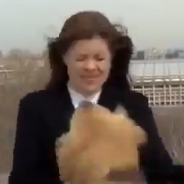 Pas oteo mikrofon reporterki