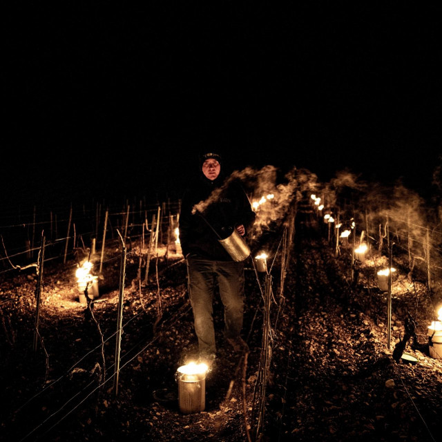 Francuski poljoprivrednici zabrinuti za svoje ljetine
