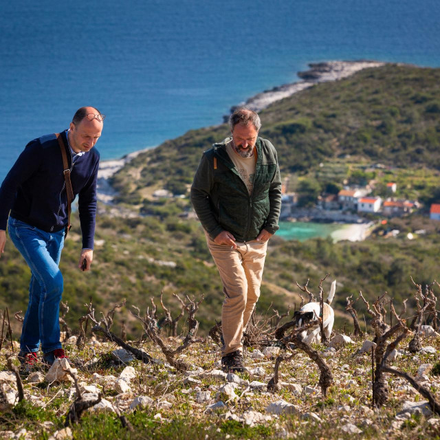 Lokalitet uvala Ruda i Sasa Spiranec,autor price I vinogradar Oliver Roki 


 