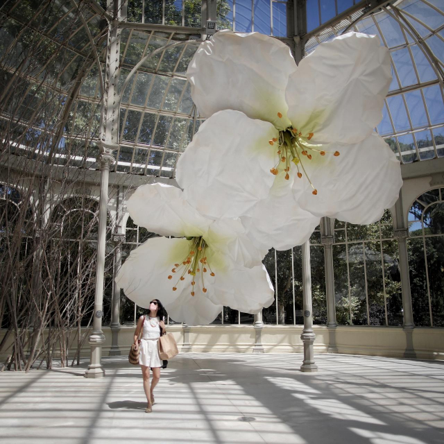 Fotografije: Profimedia