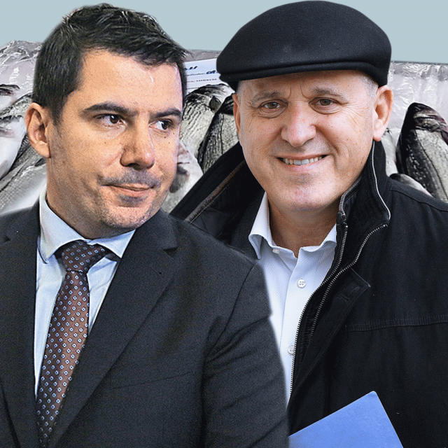 Nikola Grmoja, Branko Bačić