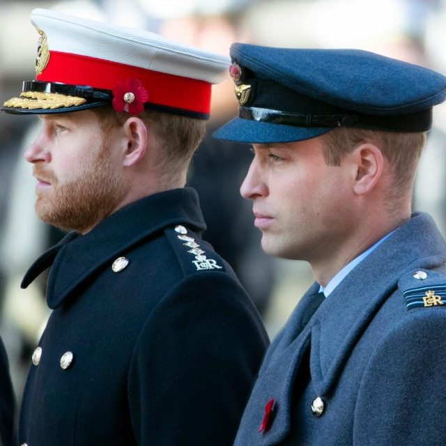 Prinčevi Harry i William