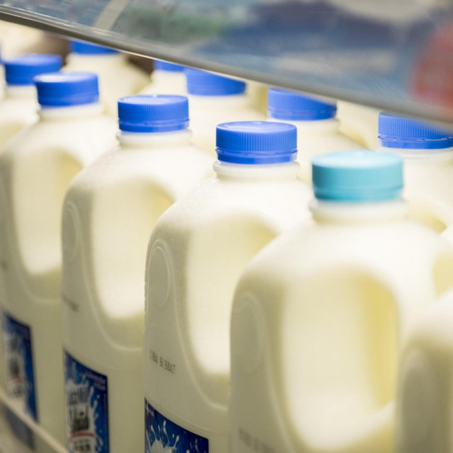 Mlijeko, ilustracija