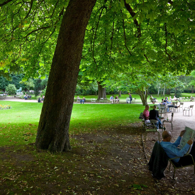 Ilustracija, park u Parizu