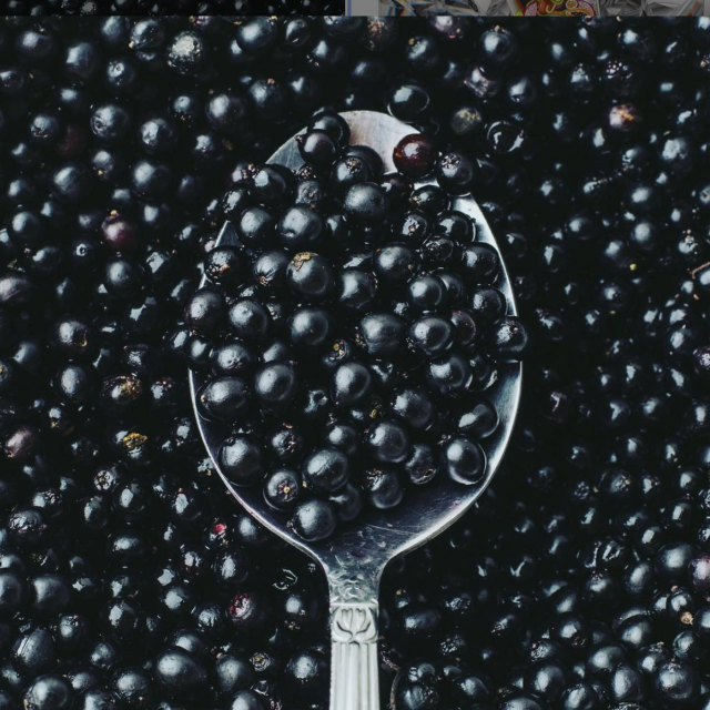 Instagram @plantnethealthglobal
 