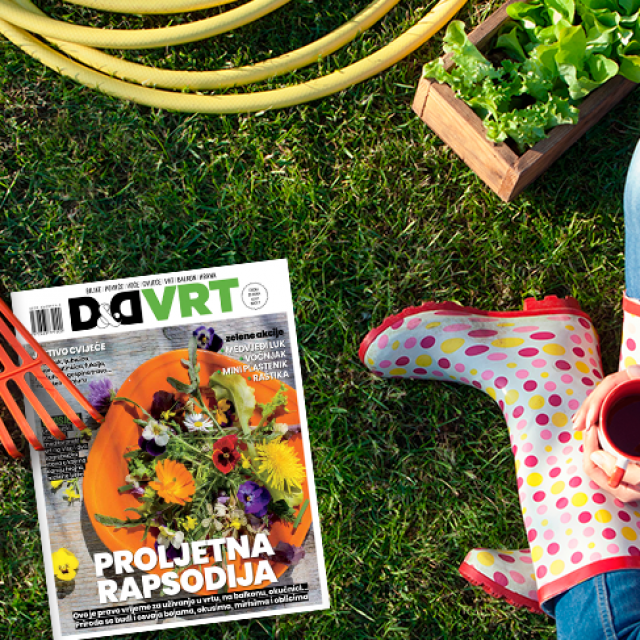 Novi broj magazina D&D VRT u prodaji od 23. travnja