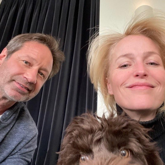 David Duchovny i Gillian Anderson