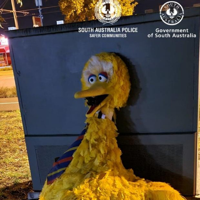 Odbačeni kostim Velike ptice