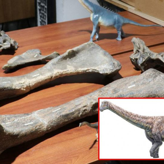 Otkrivena nova vrsta dinosaura