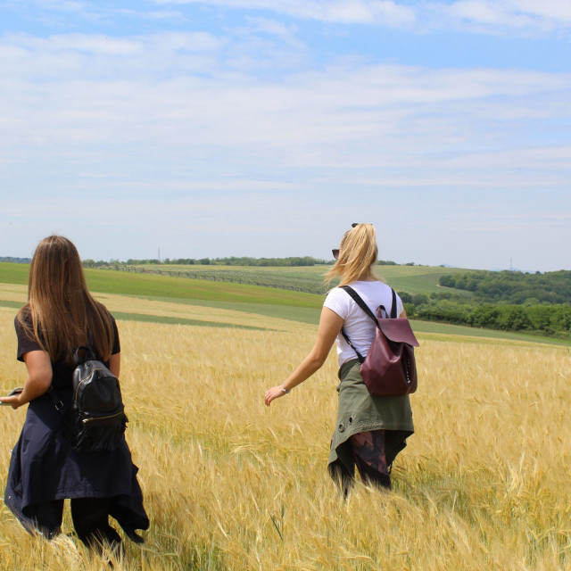 Šetnja banskim brdom