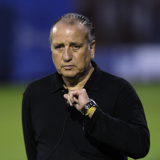 Fernando Roig Alfonso