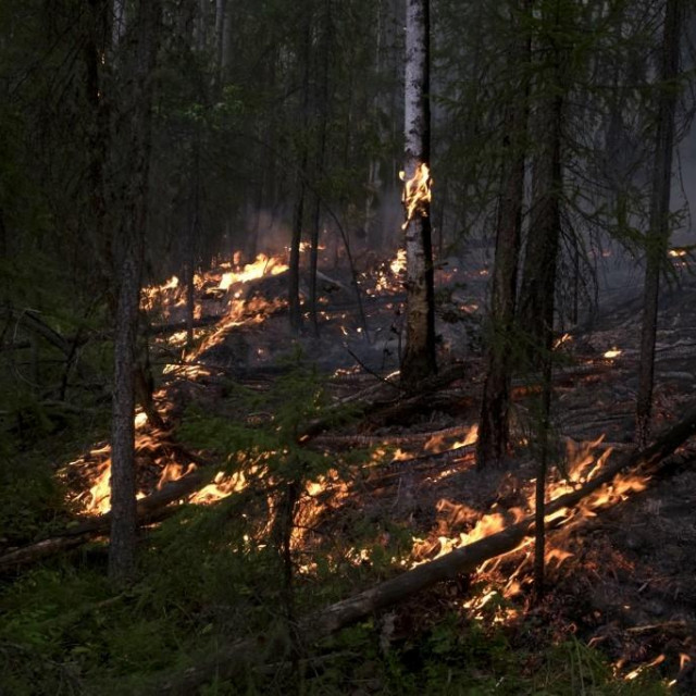 požar u Sibiru