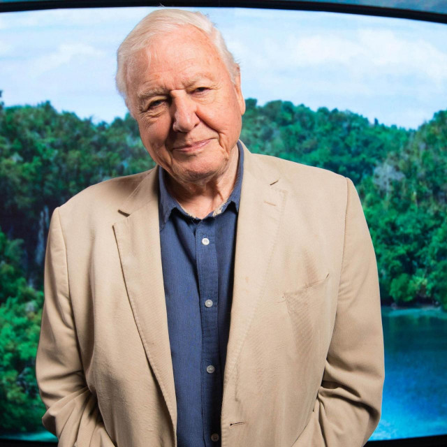 David Attenborough 
