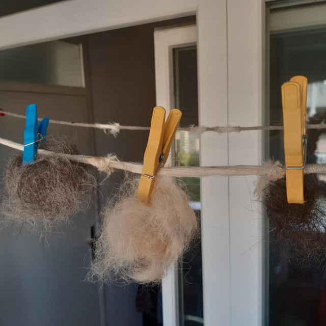 Pseće dlake na balkonu
