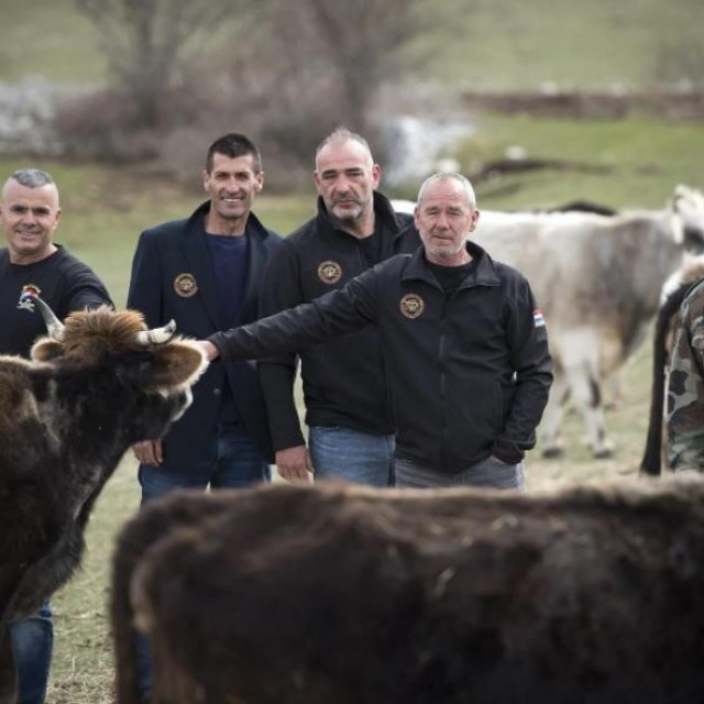 Stipe Šipic, Marko Projić, Joško Ćaleta, Zdravko Glavota i Ivan Denić, petorica od desetorice osnivača zadruge