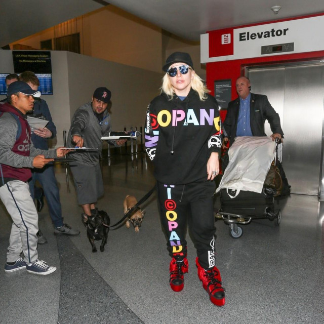 Lady Gaga sa svojim psima