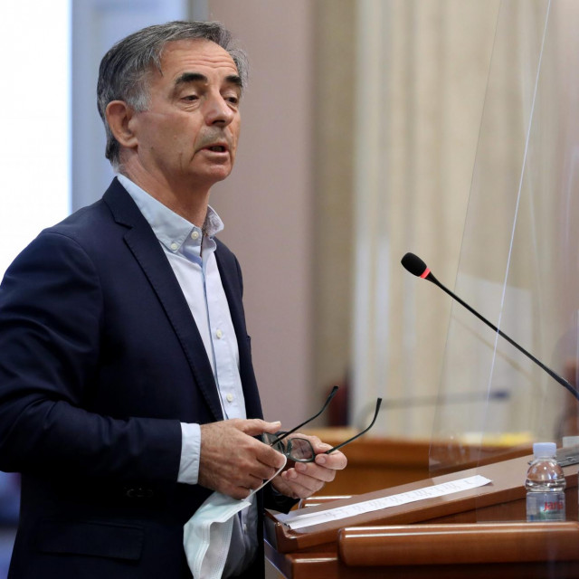 Predsjednik SNV-a Milorad Pupovac
 