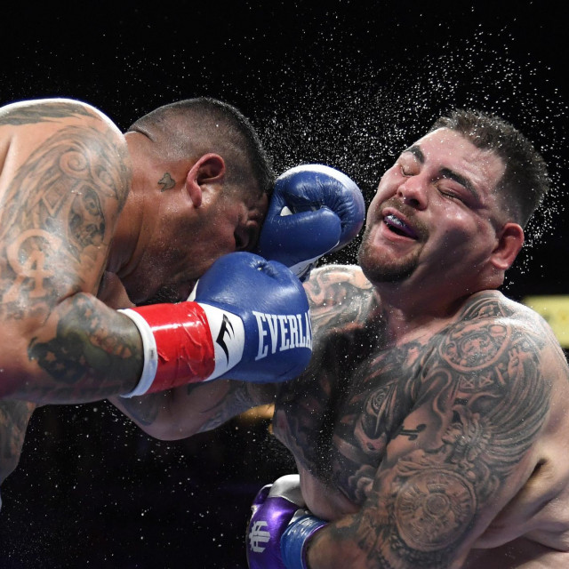 Chris Arreola vs. Andy Ruiz Jr.