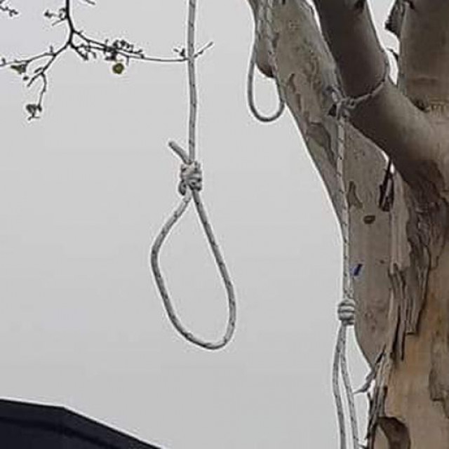 Omče na stablu u Dubravi i Ivan Rubelj u krugu