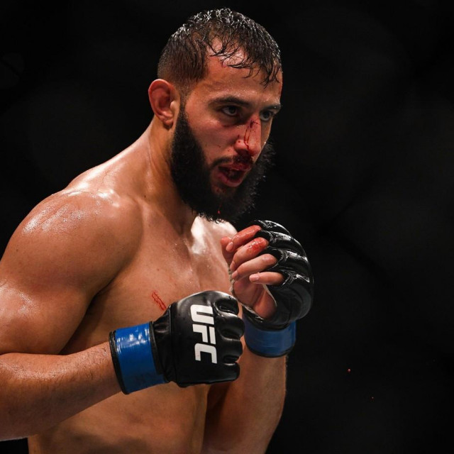 Dominick Reyes