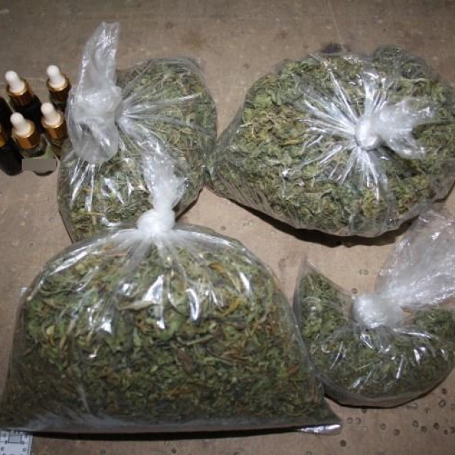 Zaplijenjena marihuana