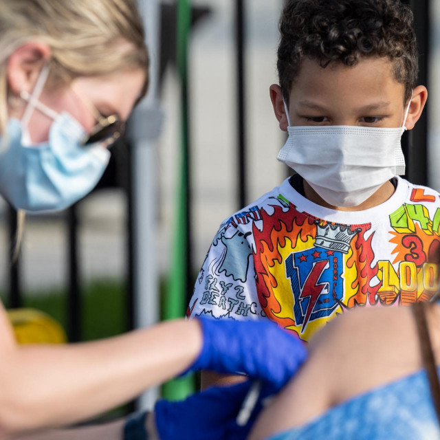 Cijepljenje, Ilustracija