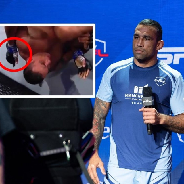 Fabricio Werdum vs Renan Ferreira