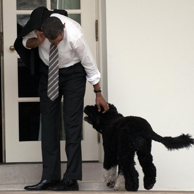 Barack Obama i Bo