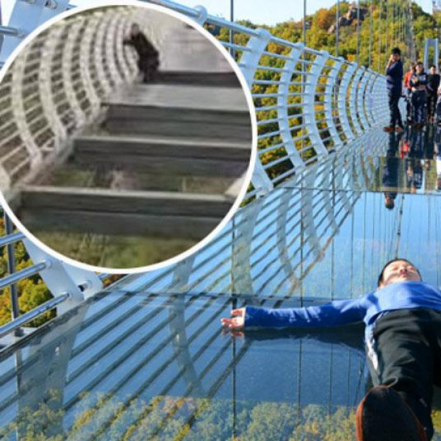 Stakleni most u Kini i zarobljeni turist (u krugu)