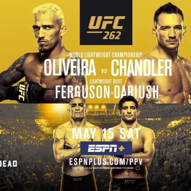 UFC 262