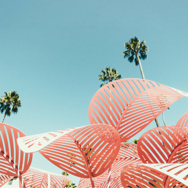 Fotografije: Marc Agne Press