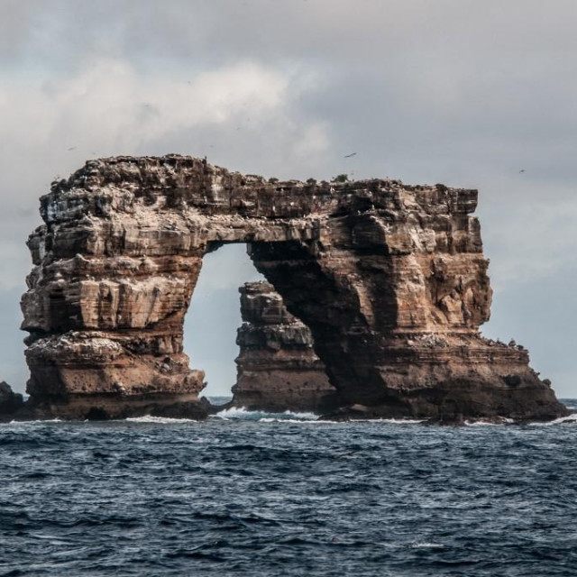 Darwinov luk prije urušavanja