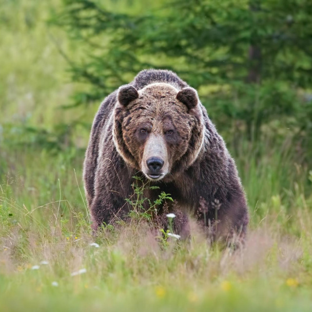 Ilustrativna fotografija