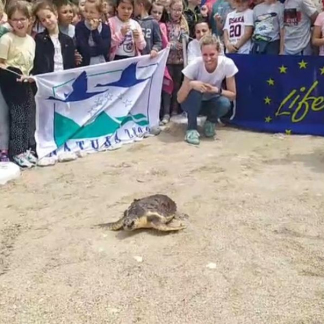 Valbiska se vraća u more
 