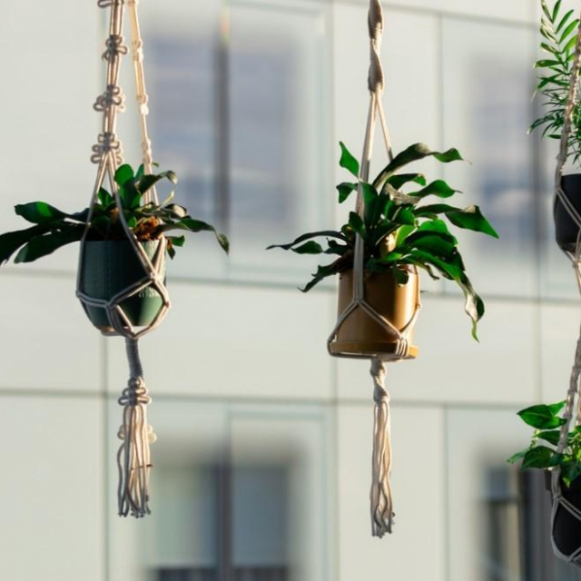 Fotografije: Mislav Gelencir