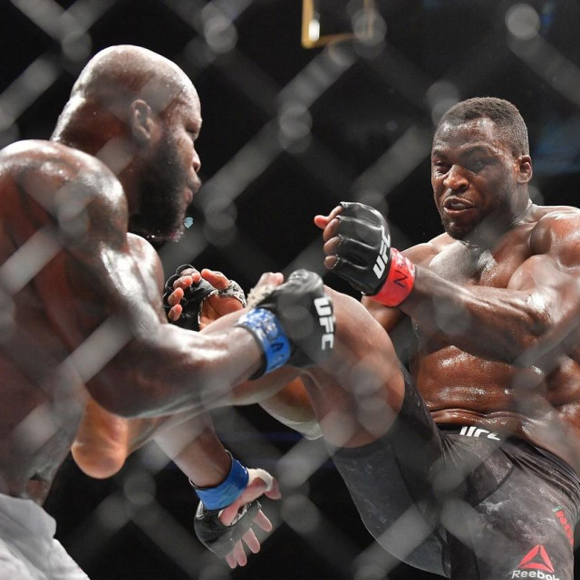 Derrick Lewis i Francis Ngannou